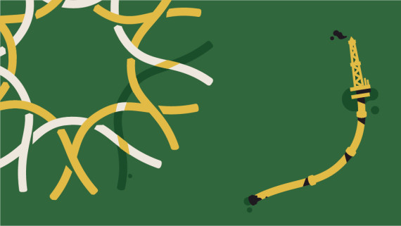 calacademy - blog graphic